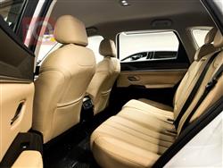 بی وای دی ‎سۆنگ پرۆ DM-i